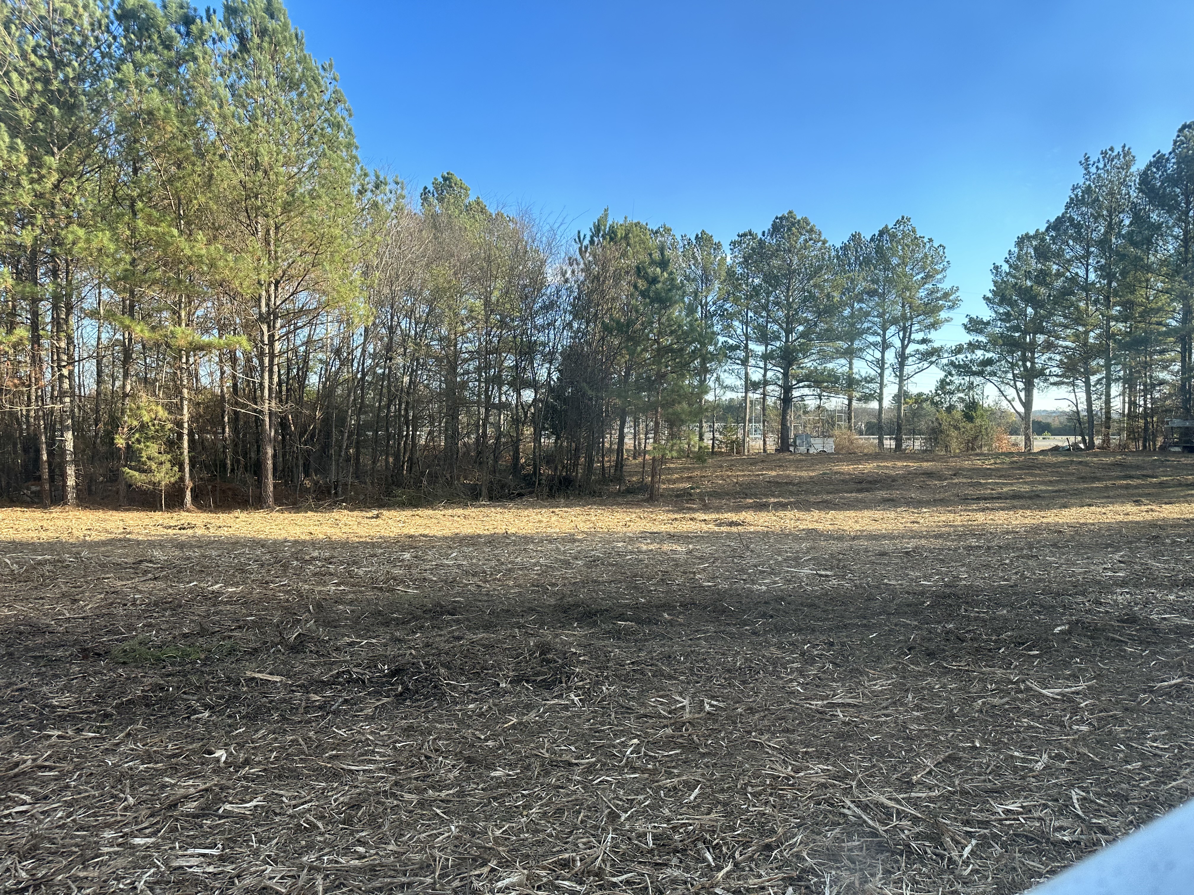 Essential Land Clearing Tips for Property Development